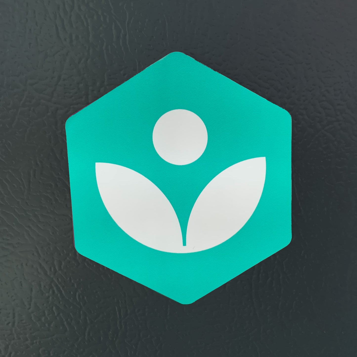 Khan Academy Magnet